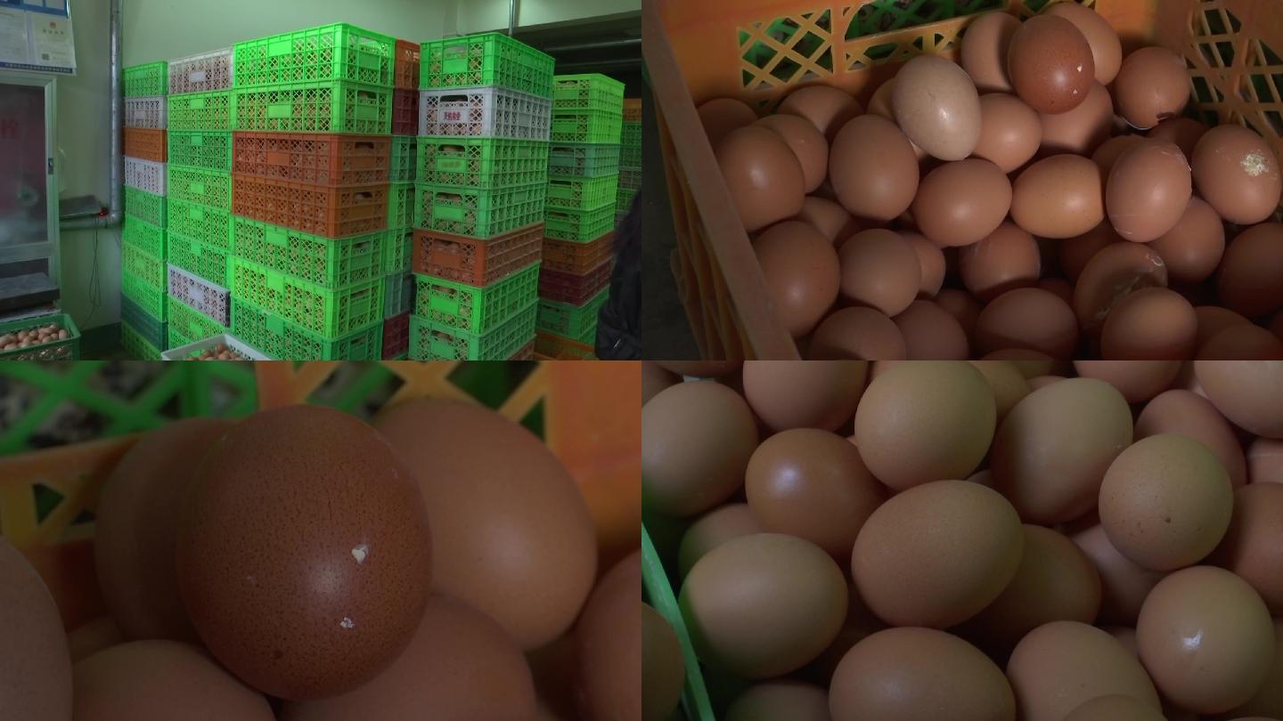 禽蛋鸡蛋批发部摊位成箱的鸡蛋