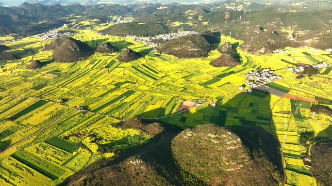 2022春季罗平万亩油菜花航拍