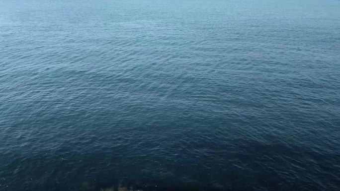 青岛大海海浪海水视频素材