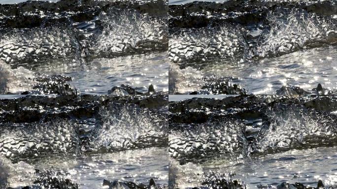 黑龙江松花江呈现“流冰排”美丽奇特景象7