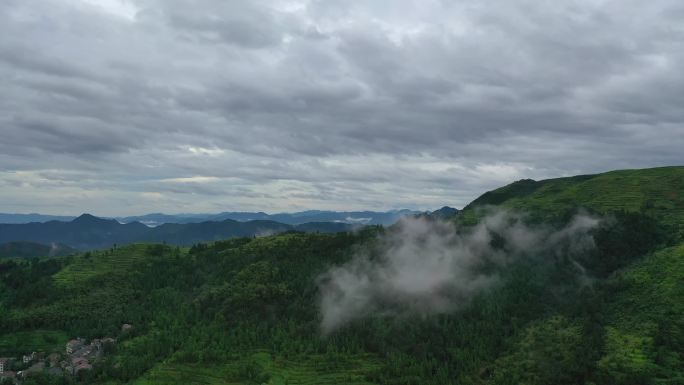 航拍茗岙梯田