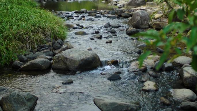 唯美意境小溪流水：森林山泉溪流河水