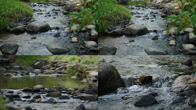 唯美意境小溪流水：森林山泉溪流河水