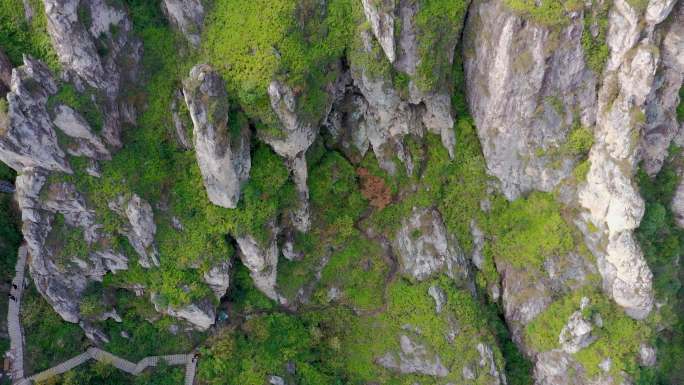 南雁荡石狗山