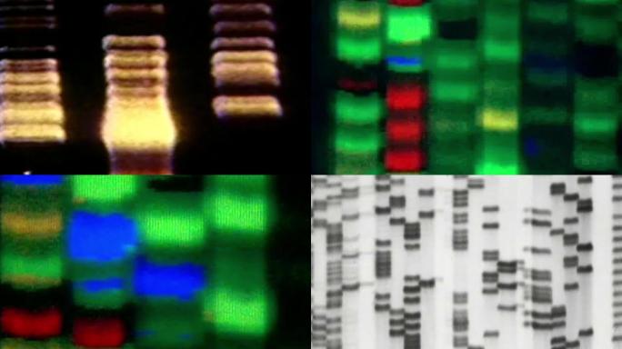 90年代基因测序