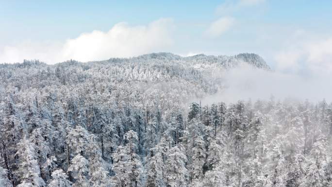 4k大雪覆盖的瓦屋山梦幻森林