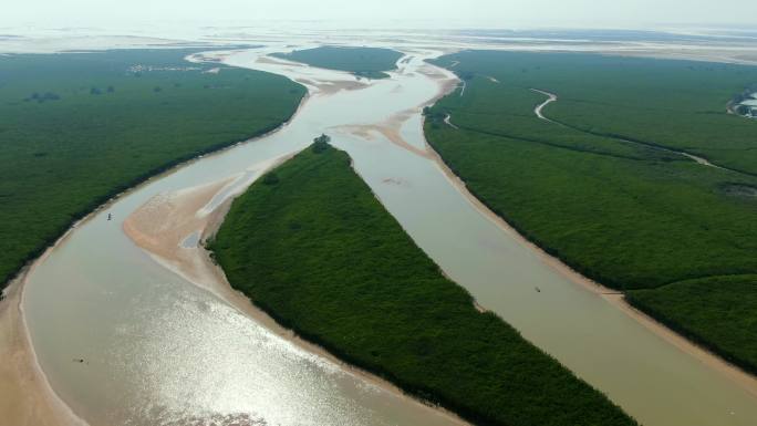 红树林、红树林自然保护区