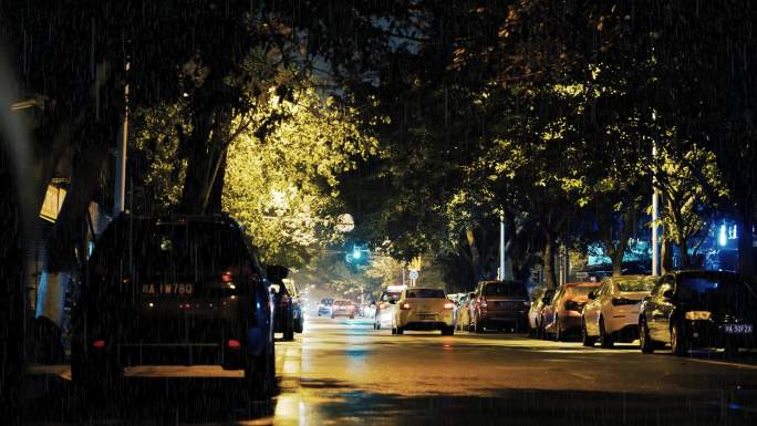 夜晚城市小雨中的林荫小道