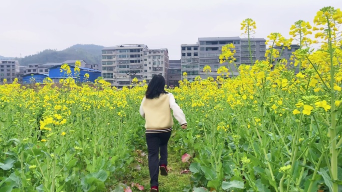 热烈怒放流金溢彩：油菜花是乡村最美的诗1