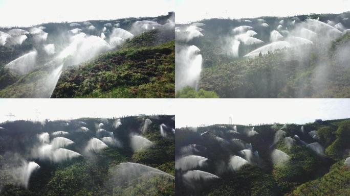 山上树林大面积浇水