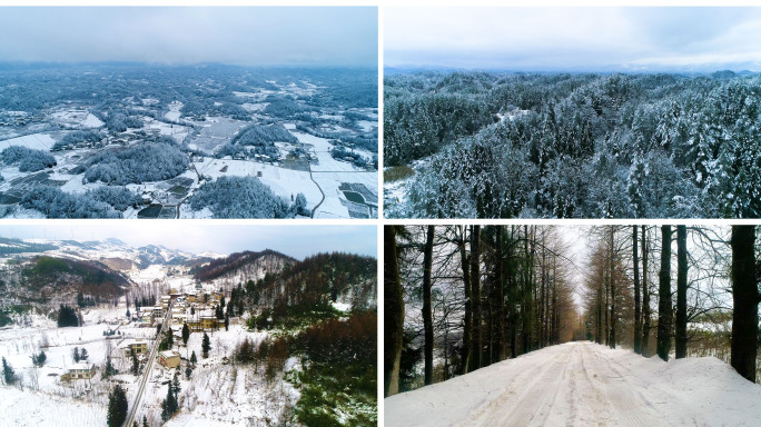 雪地视频素材