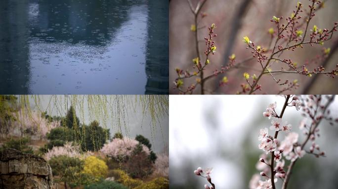 北京春天，清明，冰雪融化，春暖花开