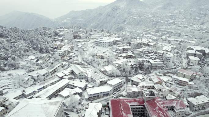 庐山牯岭镇雪景