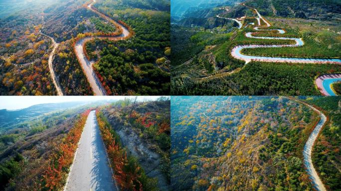 大山路秋天红叶树林航拍