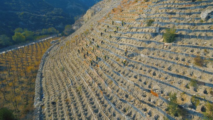 大山荒山绿化植树造林