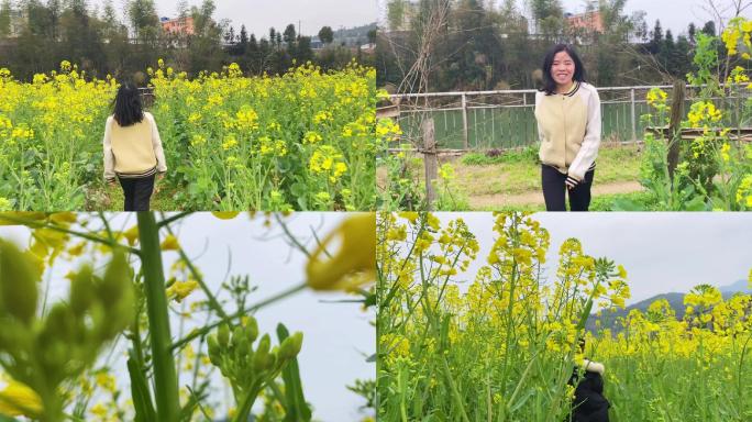 春暖花开流金溢彩：油菜花是乡村最美的诗