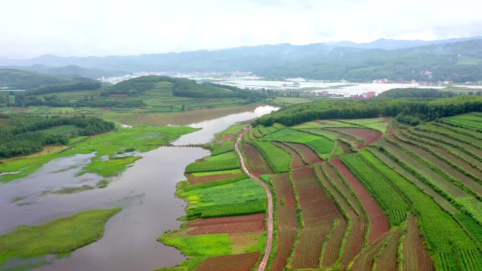 农业种植航拍