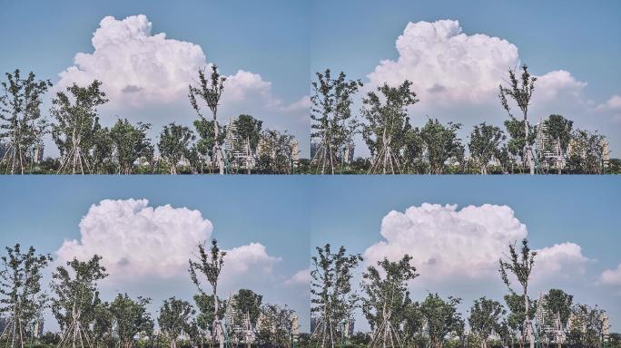 夏天白云延时摄影 想咬一口的云朵3