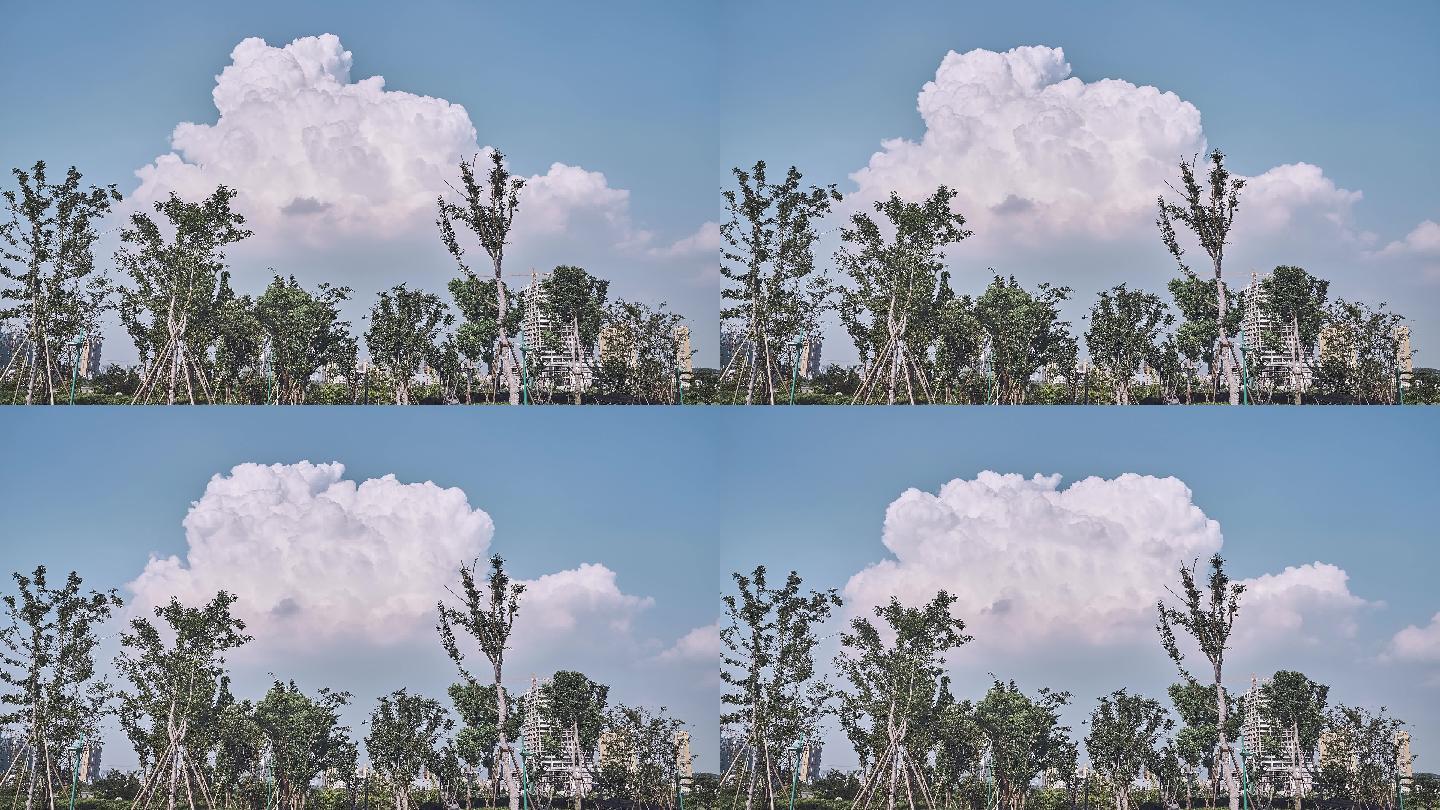 夏天白云延时摄影 想咬一口的云朵3