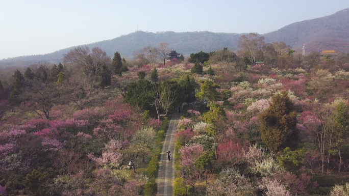 梅花山2022航拍