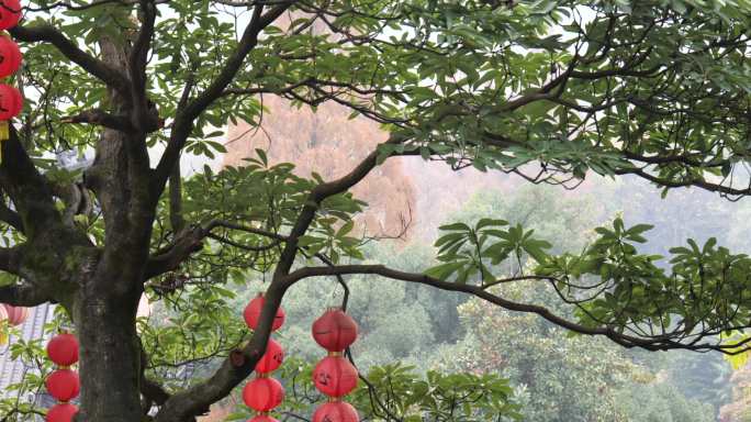 中国风古典建筑窗户寺庙