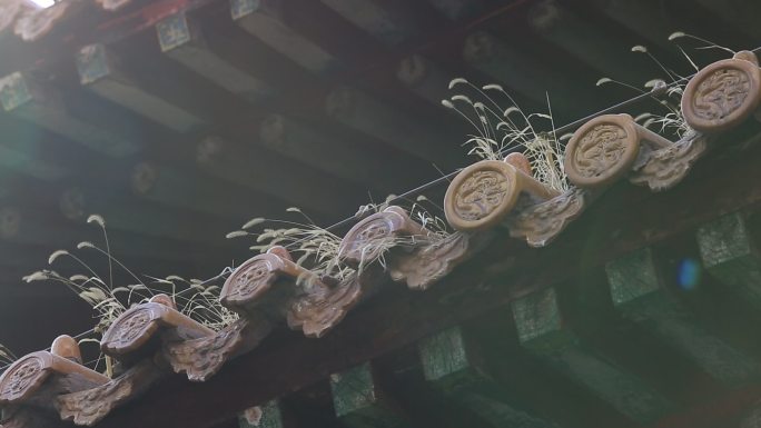 古建筑  屋顶 屋檐 荒草 荒凉 荒芜