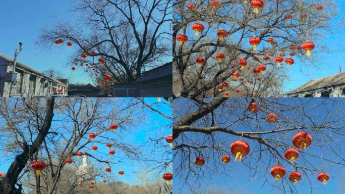 北京街道高挂红灯笼春节过年气氛