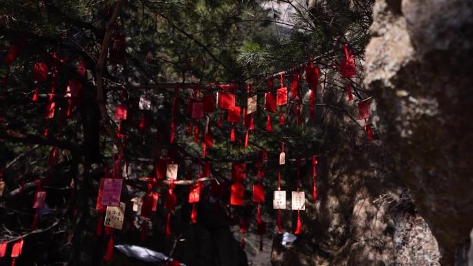 4K实拍河南老君山5A级风景区A