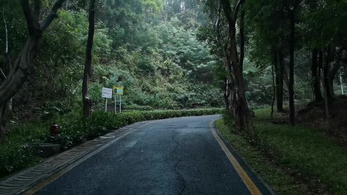 深圳宝安铁仔山公园下雨天上山路段13