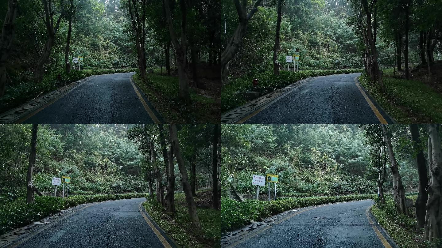 深圳宝安铁仔山公园下雨天上山路段13