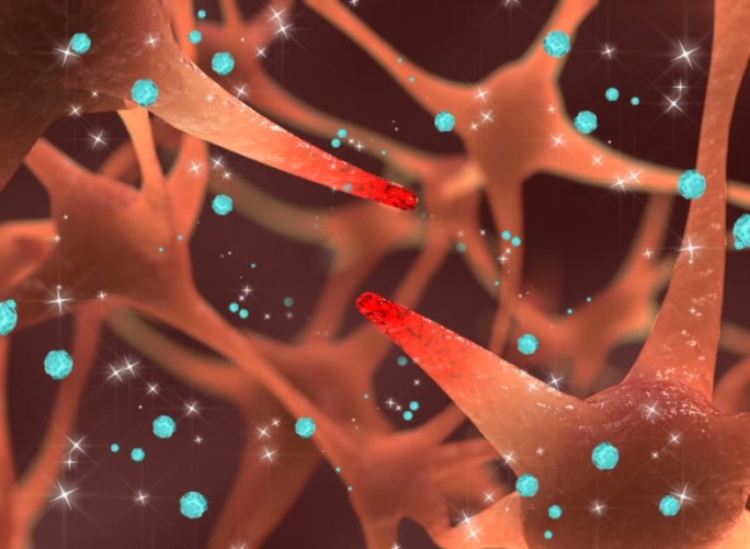大脑细胞 神经网络 神经元