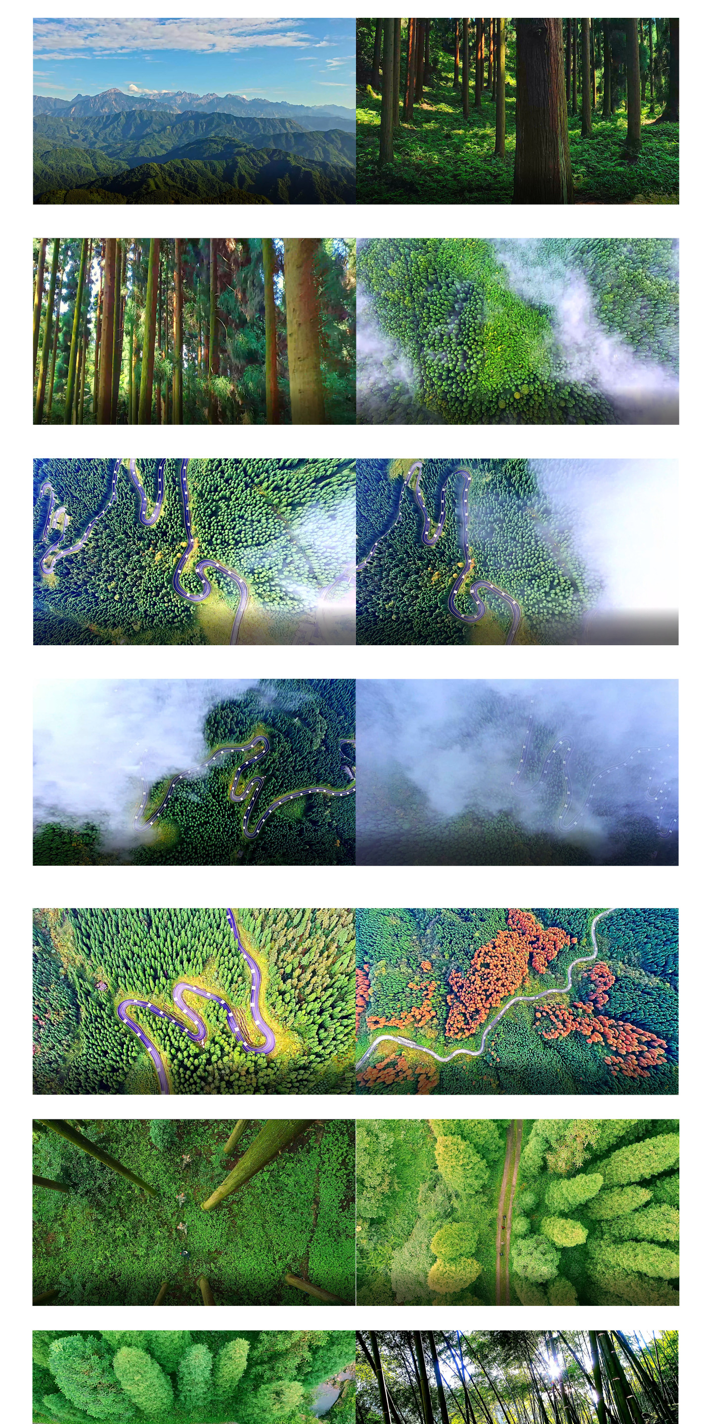 原始森林护林员彩林穿过云层4K