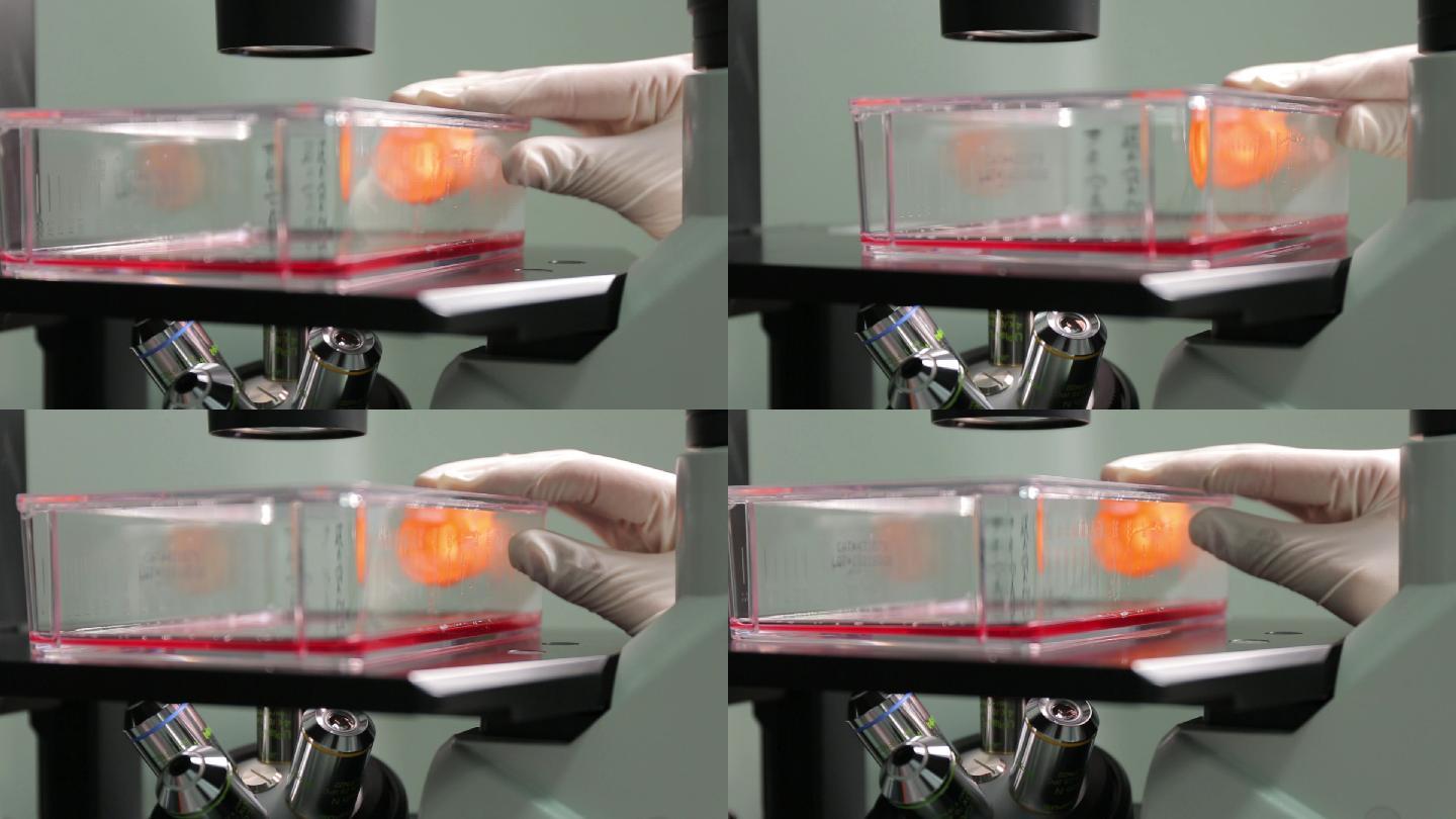 医疗美容实验室 样本检测显微镜观察试剂盒