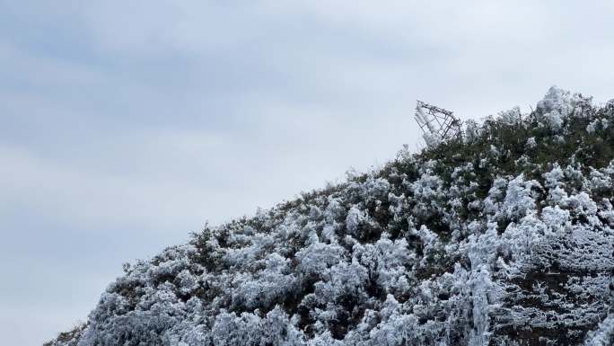 冰雪灾害压垮大明山顶上的移动通信信号塔
