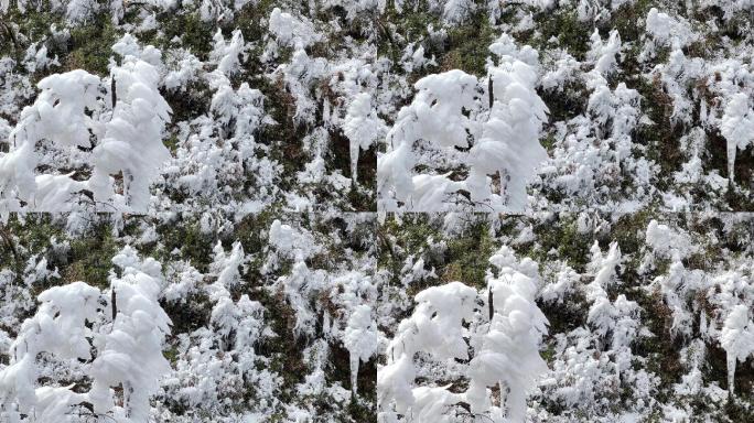 4k超长时间南宁大明山南国春雪冰凌雾凇