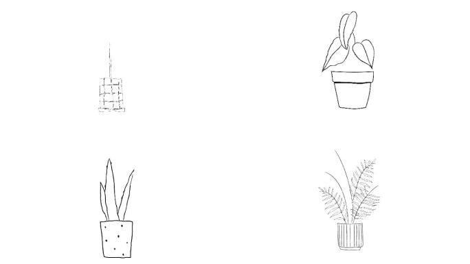 手绘盆景植物png序列图
