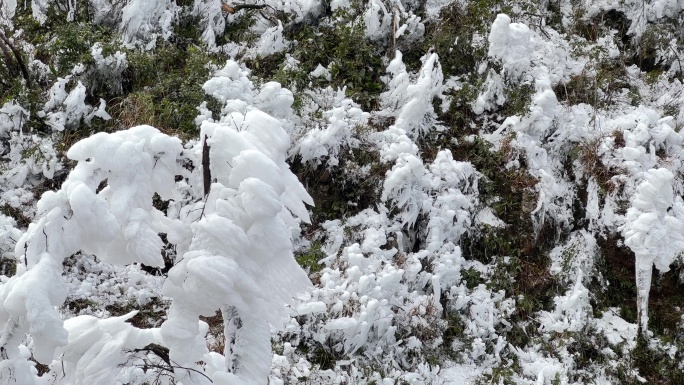 4k南宁大明山南国春雪冰凌雾凇超长时间