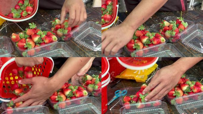 打包装盒刚采摘的新鲜草莓