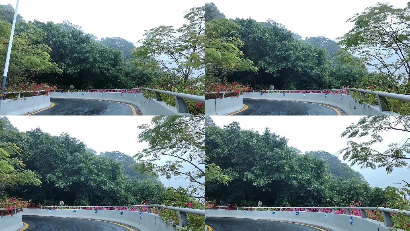 深圳宝安铁仔山公园下雨天上山路段8
