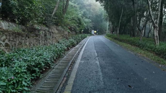 深圳宝安铁仔山公园下雨天上山路段14