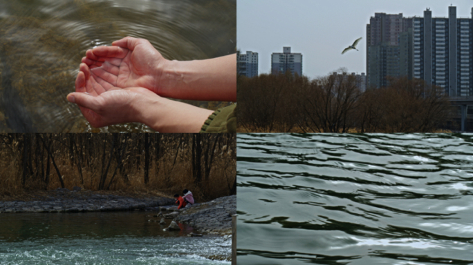 城市生态环境自然与人和谐相处水资源
