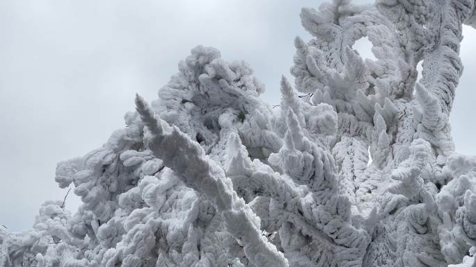 大明山北回归线上的雪景