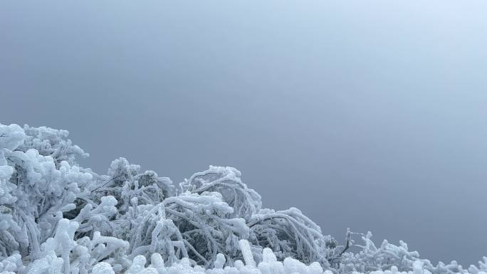 南宁大明山冰雪雾凇奇缘游客第一视觉