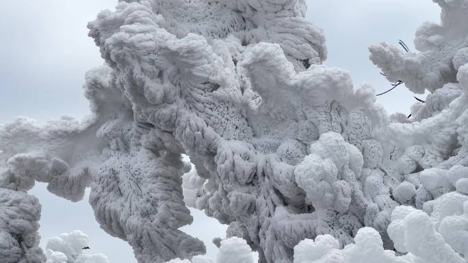 大明山北回归线上的冰墩墩雪景