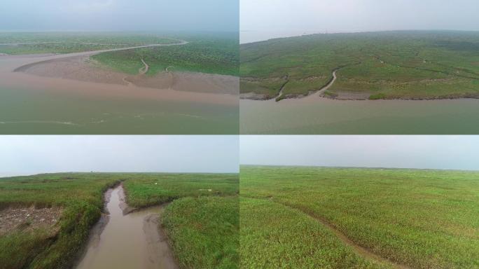航拍上海长江口九段沙湿地自然保护区