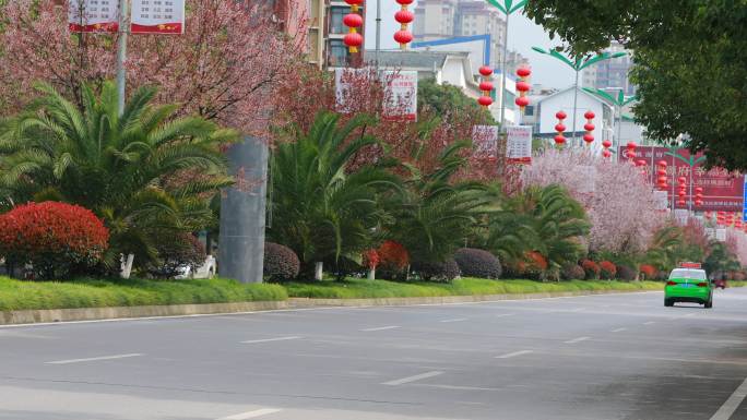 城市绿化 街道绿化 春暖花开