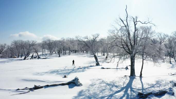 雾凇 白雪 冬季的蓝天白云