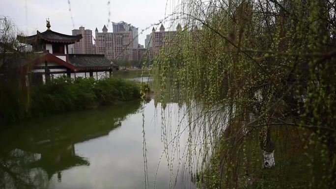 春光灿烂花正艳行人如织天地暖