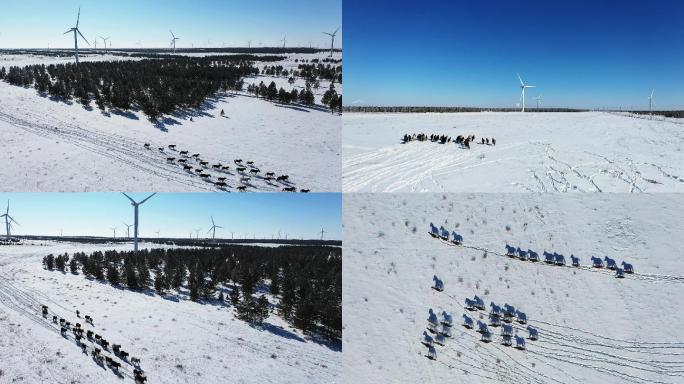 呼伦贝尔雪地风车马群奔跑航拍