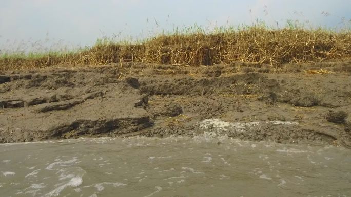 长江沿岸冲刷水土流失